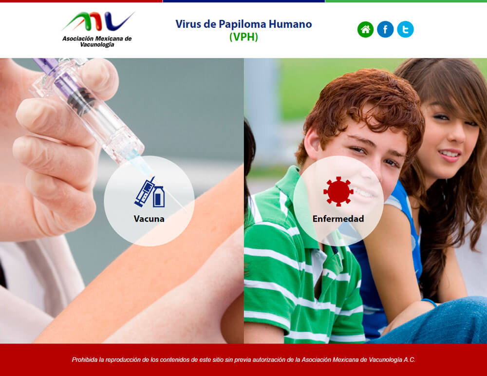 Diseño web – Diseño de paginas web – Posicionamiento web SEO - en Mexico